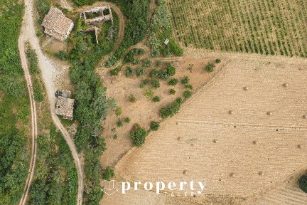 Rustico Cda Castellano, Ripatransone