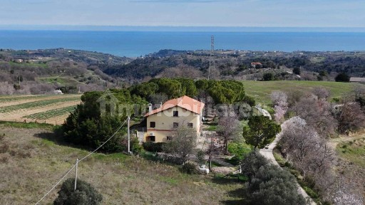 Ripatransone, petrella