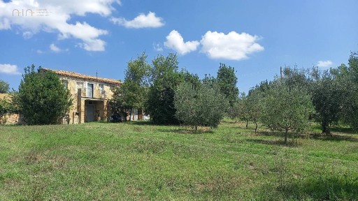Rustico Contrada Lava 71/a, Offida