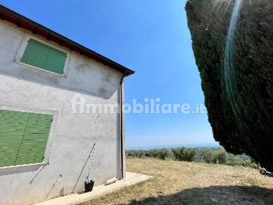 Ripatransone, quercia ferrata