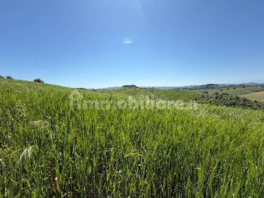 Monteprandone