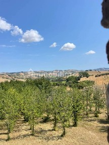 Castignano