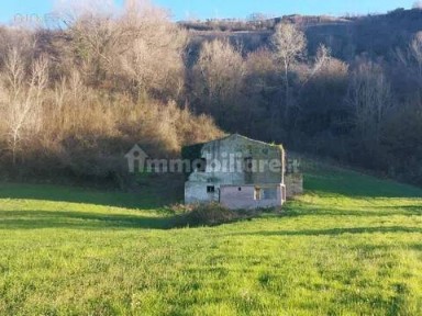 Cascina Contrada Fiorano No Number, Ripatransone