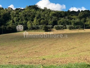 Casale contrada san salvatore, Ripatransone