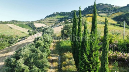 Rustico via Ghisleri, Ripatransone