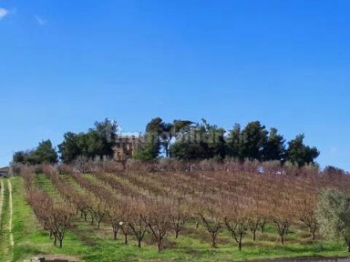 Appignano del Tronto