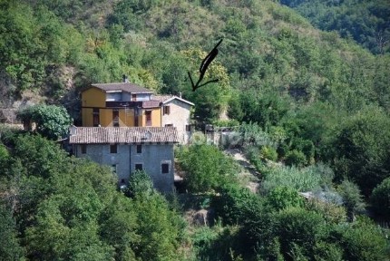 Venarotta