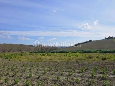 Appignano del Tronto