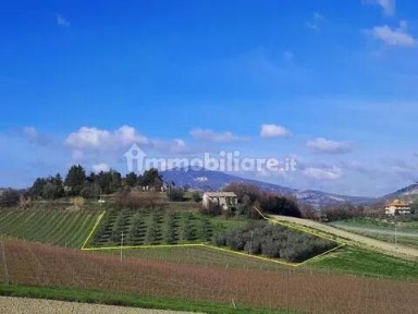 Appignano del Tronto