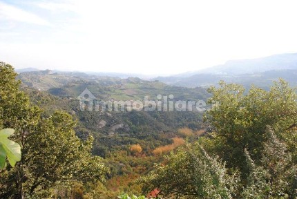 Venarotta
