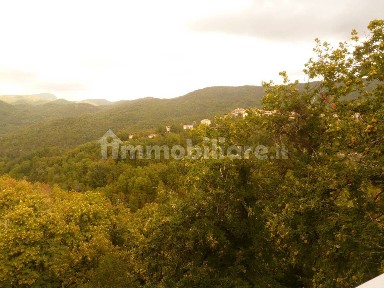 Nespolo, Via delle Querce