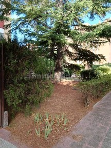 Quadrilocale via Enzo Fioritto 8, Sant'Anna - Sant'Eligio, Foggia