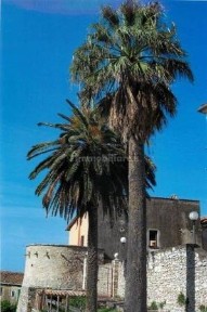 Appartamento ottimo stato, Centro, Poggio Catino