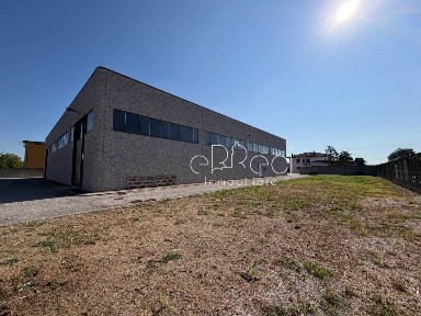 Porto Mantovano, Strada Provinciale Cisa in Sant'Antonio
