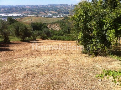 Cascina Sp2, 20, Colonnella