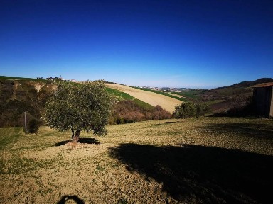 Monterubbiano, Contrada Fonterrante
