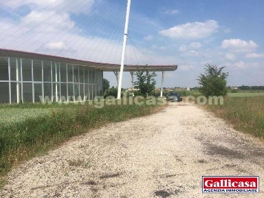 Capannone in Vendita