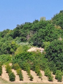 Belmonte Piceno, Contrada Colle Ete, 38