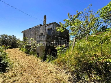 Porto San Giorgio, Via Valle Oscura, 5