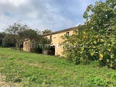 Monte Vidon Combatte, Via San Procolo