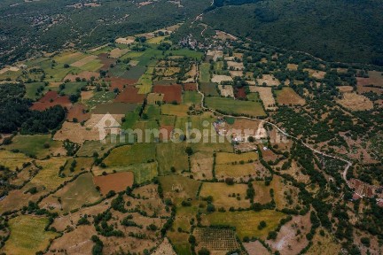 Rustico - casale all'asta, Belmonte Piceno