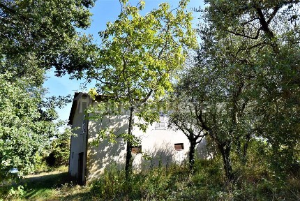 Magliano di Tenna