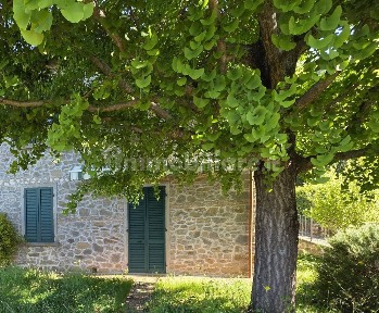 Villa bifamiliare Strada Provinciale Mammianese, Castelli, Pescia Nord, Pescia