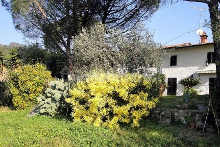 Villa unifamiliare via Bruno Buozzi, Centro, Monsummano Terme