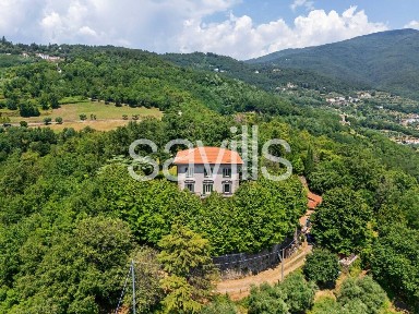 Pistoia, La Cugna - Signorino, Della Chiesa di Uzzo