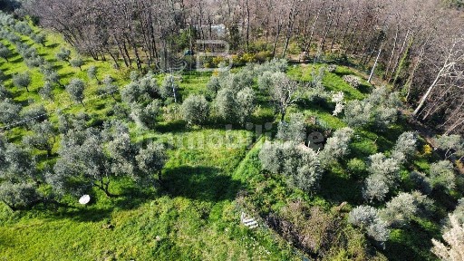 Montecatini-Terme, Strada Provinciale Mammianese Marlianese