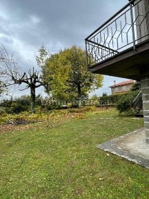 Marliana