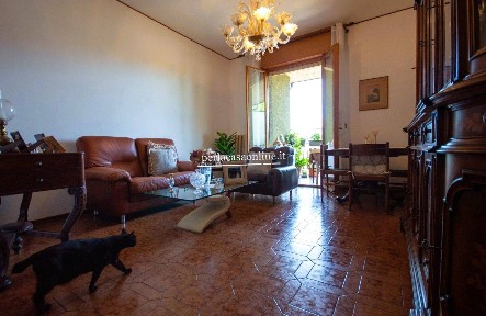 Forlì, Romiti, Via Plutarco