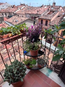Bilocale Borghetto Mozzo, Viale Vittorio Veneto, Forlì