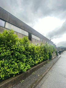 Omegna, Via Oddino Pietra, 3