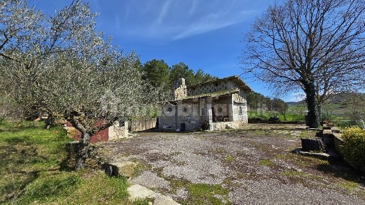 Vallesaccarda, Taverna delle noci, 56