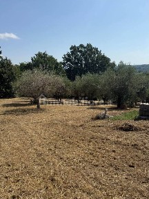 Villa unifamiliare Contrada Bosco, Bosco, Montemiletto