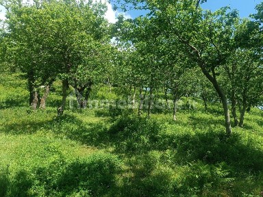 Villa unifamiliare via Campo, Summonte