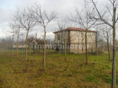Gesualdo, contrada capo di gaudio