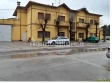 Appartamento all'asta via Degli Orciari 8, Colli al Metauro