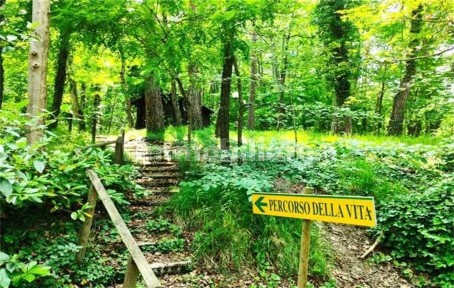 Appartamento all'asta via Martiri della Resistenza 1, Monte Grimano Terme