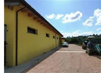 Appartamento all'asta Strada Villa Fiorenza San c., Montefelcino