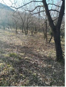 Appartamento all'asta San Anna, Fossombrone