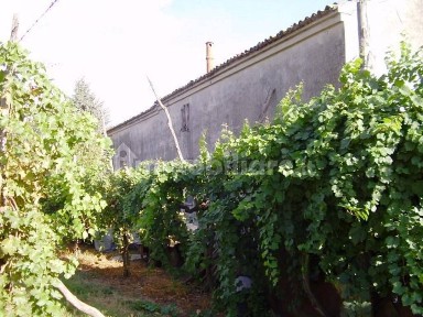 Riva del Po, Via Viazza