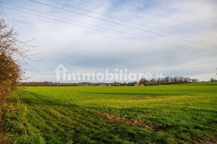 Rustico - casale all'asta, Argenta