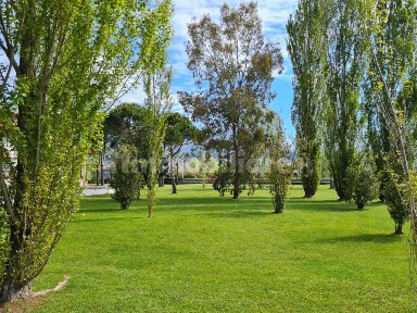 Villa unifamiliare via Tonfano 78, Pietrasanta