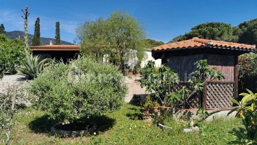 Campo nell'Elba