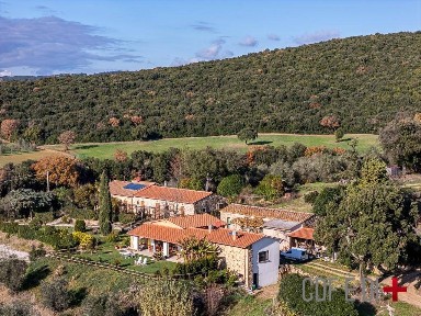 Azienda agricola in Vendita