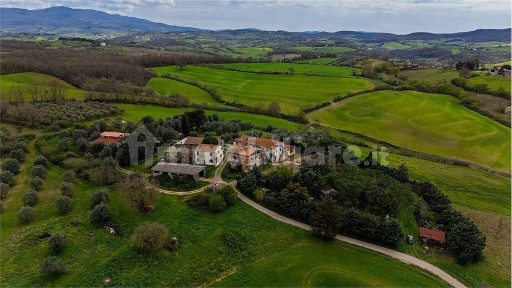 Cinigiano