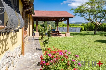 Azienda agricola in Vendita