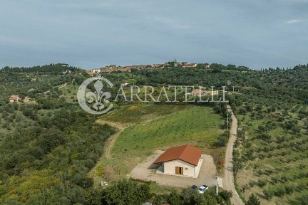 Azienda agricola in Vendita